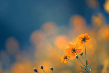 外星人电脑是什么牌子