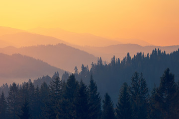 贴吧怎么发帖子