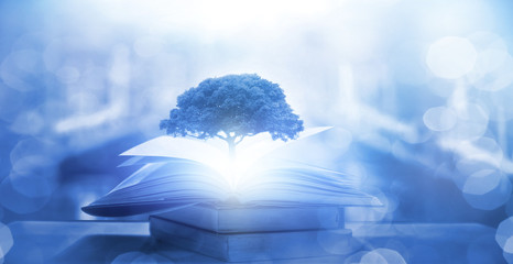 文言文中“因”的用法