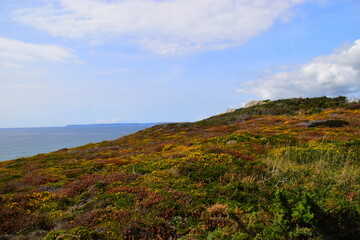 贴吧怎么发帖子