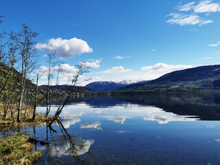 外星人电脑是什么牌子