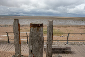 张必清教授：要让每个家庭都有一名懂健康的人？