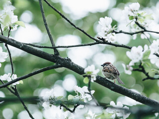 微尘什么意思？