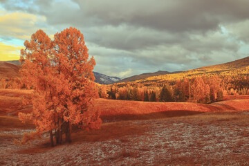 贴吧怎么发帖子