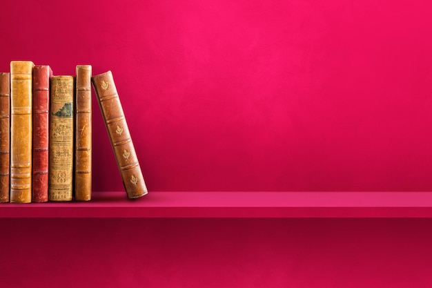 我国实行对外开放的根本目的是