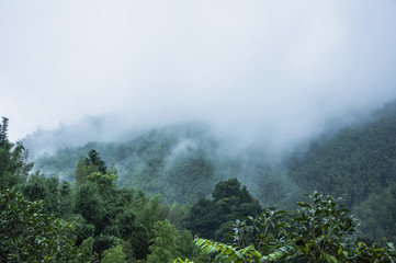 新机皇遭吐槽 三星GALAXY SIII另类解析